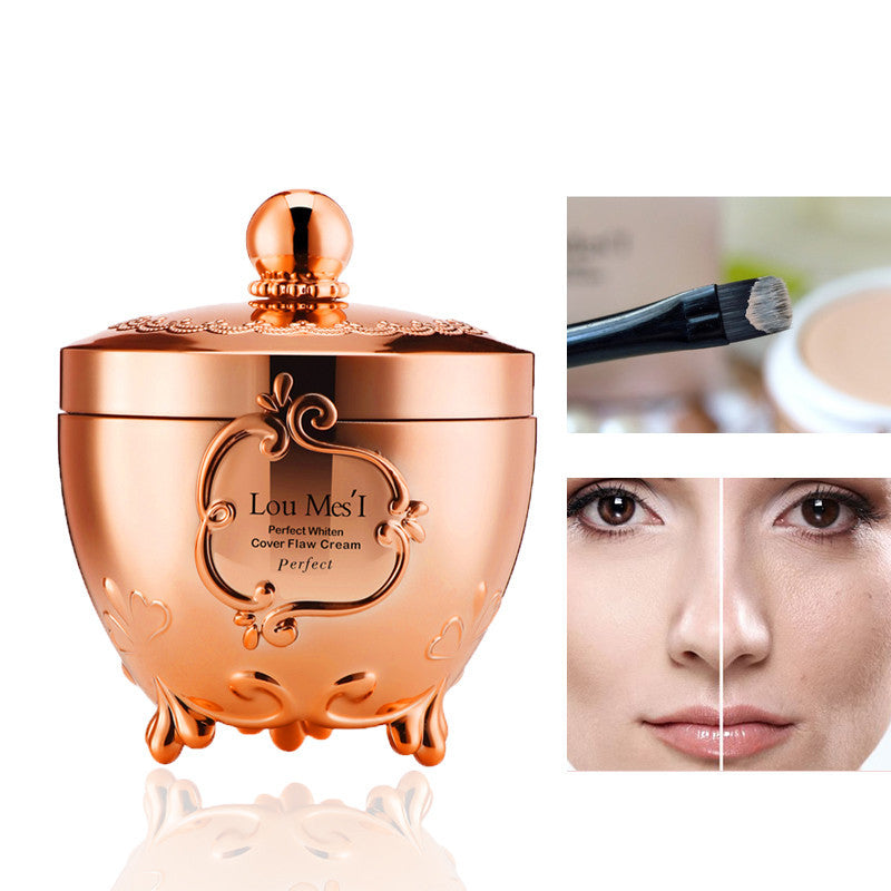 Concealer Foundation Cream Concealer Foundation Cream